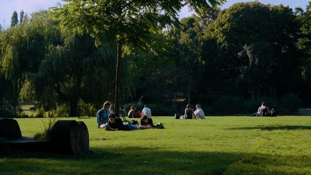 Video Reference: nature, plant, green, lawn, tree, grass, leisure, park, outdoor recreation, landscape