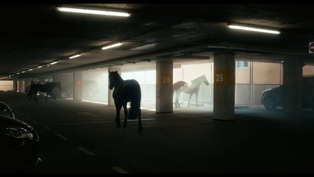 Video Reference: infrastructure, light, darkness, tourist attraction, car, night, public transport, subway, window, shadow, Person
