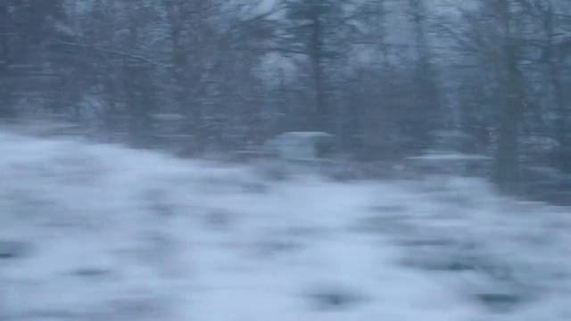 Video Reference: Snow, Winter, Atmospheric phenomenon, Geological phenomenon, Freezing, Water, Forest, Tree, Woodland, Frost