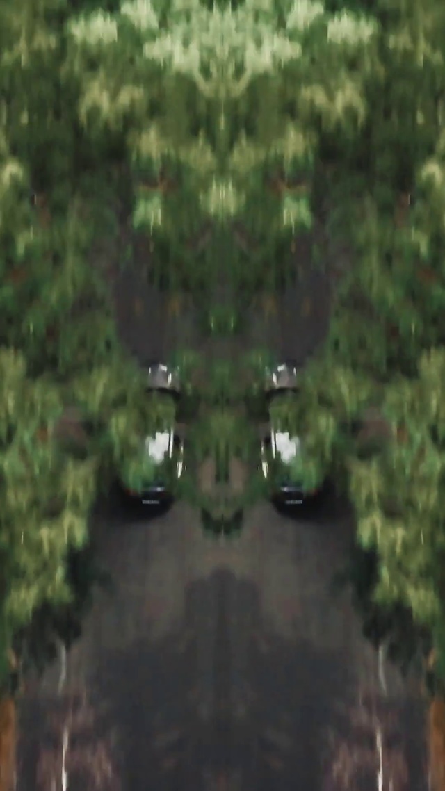 Video Reference: Nature, Vegetation, Green, Natural environment, Tree, Jungle, Biome, Water, Forest, Leaf