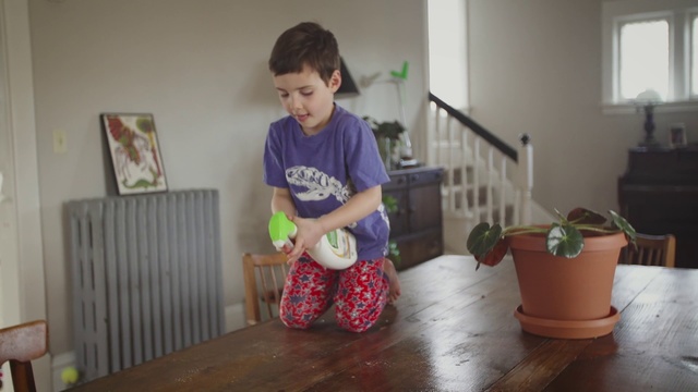 Video Reference: Child, Toddler, Play, Room, Houseplant, Floor, Plant, Flowerpot