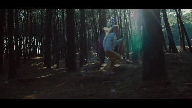 Video Reference: Woodland, Nature, Forest, Tree, Natural environment, Light, Sunlight, Woody plant, Darkness, Biome