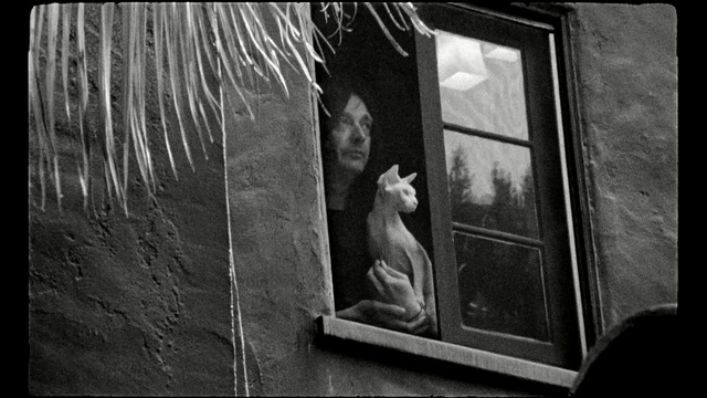 Video Reference: black, photograph, black and white, monochrome photography, darkness, photography, snapshot, monochrome, window, still life photography, Person