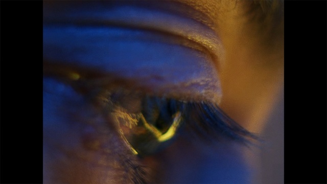 Video Reference: Blue, Iris, Eye, Close-up, Eyebrow, Macro photography, Organ, Eyelash, Photography, Organism