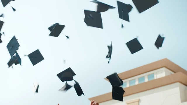 Video Reference: Product, Graphic design, Font, Design, Line, Material property, Illustration, Pattern, World, Art, Person