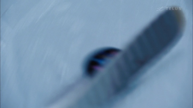 Video Reference: Close-up, Recreation, Snow