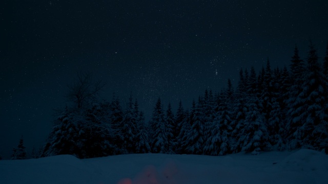 Video Reference: Sky, Blue, Winter, Snow, Night, Light, Tree, Atmosphere, Freezing, Darkness