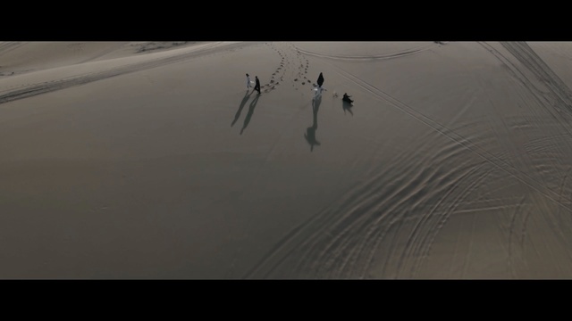 Video Reference: atmosphere, sky, sand, line, landscape, black and white, darkness, screenshot, ecoregion, visual arts