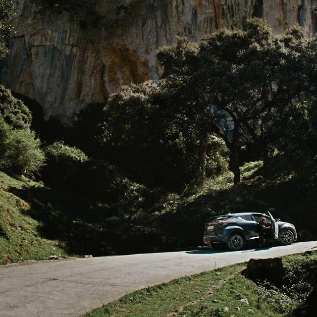 Video Reference: Vehicle, Regularity rally, Car, Rock, Tree, Road, Mountain, Mountain pass, Geology, Mini