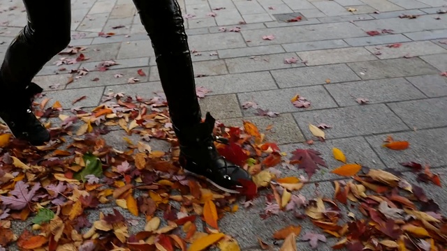 Video Reference: leaf, autumn, litter, tree, asphalt, waste, deciduous, plant, Person