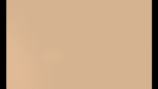 Video Reference: Brown, Beige, Yellow, Peach