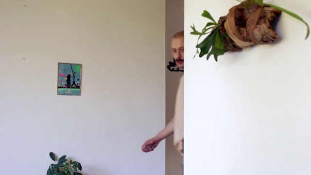 Video Reference: Wall, Leaf, Plant, Art, Herb, Houseplant, Ikebana, Flower