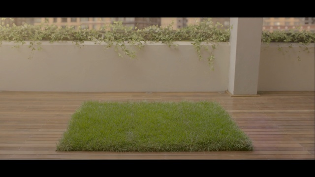 Video Reference: green, grass, floor, flooring, plant, wood, hardwood, lawn, grass family, wood stain