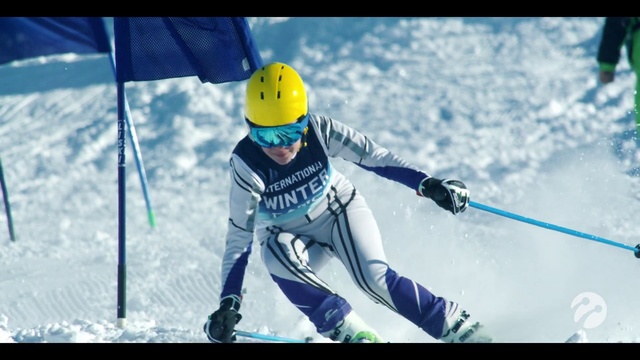 Video Reference: Sports, Skier, Alpine skiing, Skiing, Ski cross, Ski, Slalom skiing, Freestyle skiing, Winter sport, Recreation
