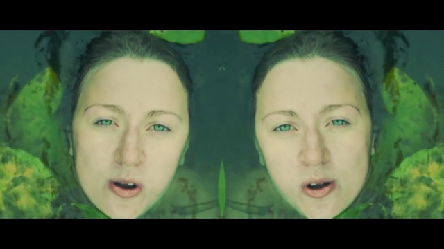 Video Reference: Face, Green, Eyebrow, Nose, Cheek, Forehead, Skin, Facial expression, Chin, Head, Person