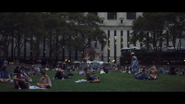 Video Reference: people, crowd, night, urban area, grass, tree, recreation, evening, darkness, screenshot