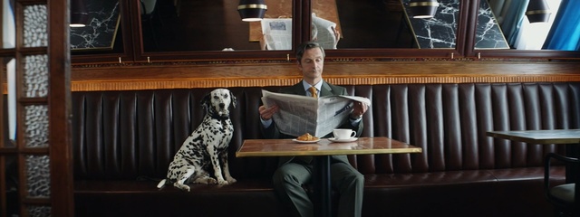 Video Reference: Sitting, Canidae, Table, Dalmatian, Sporting Group, Pointer, Companion dog, Non-Sporting Group, Furniture