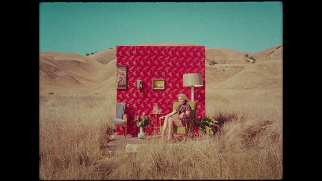 Video Reference: Photograph, Pink, Adaptation, Grass, Stock photography, Photography, Square, Landscape, Plant, Art