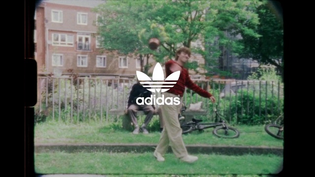 Video Reference: Horse tack, Horse, Horse harness, Bridle, Grass, Photography, Lawn, Pack animal