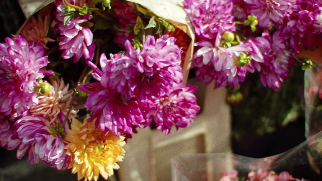 Video Reference: Flower, Flowering plant, Pink, Plant, Cut flowers, Petal, Spring, Bouquet, Floral design, Chrysanths