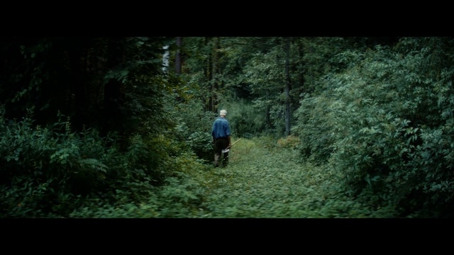 Video Reference: Nature, Natural environment, Forest, Woodland, Jungle, Wilderness, Green, Tree, Biome, Nature reserve