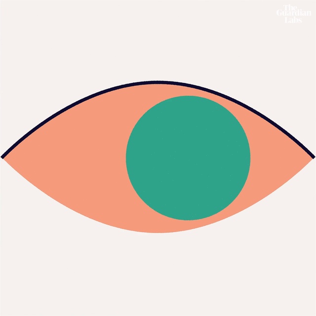 Video Reference: Orange, Eye, Circle, Logo, Oval, Graphics, Illustration