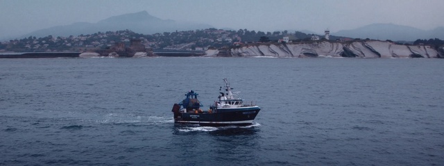 Video Reference: Water transportation, Vehicle, Boat, Fishing vessel, Fishing trawler, Watercraft, Ship, Sea, Ferry, Tugboat