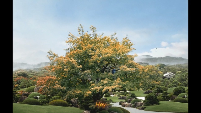 Video Reference: Tree, Sky, Leaf, Natural landscape, Autumn, Plant, Woody plant, Wilderness, Mountain, Atmospheric phenomenon