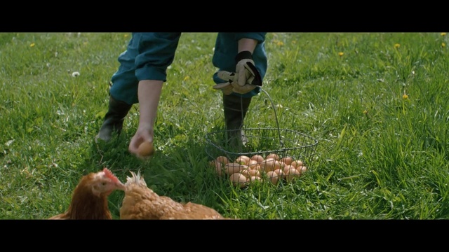 Video Reference: People in nature, Lawn, Grass, Nature, Grass, Soil, Leaf, Grassland, Leg, Pasture