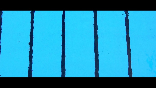 Video Reference: blue, sky, text, azure, turquoise, line, symmetry, font, angle, plant stem