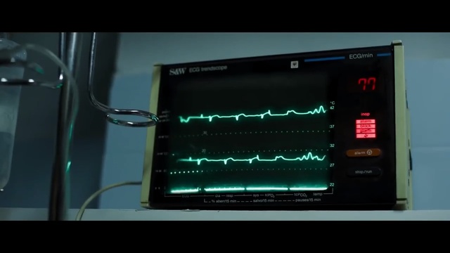 Video Reference: Electronics, Display device, Electronic device, Technology, Multimedia, Screen