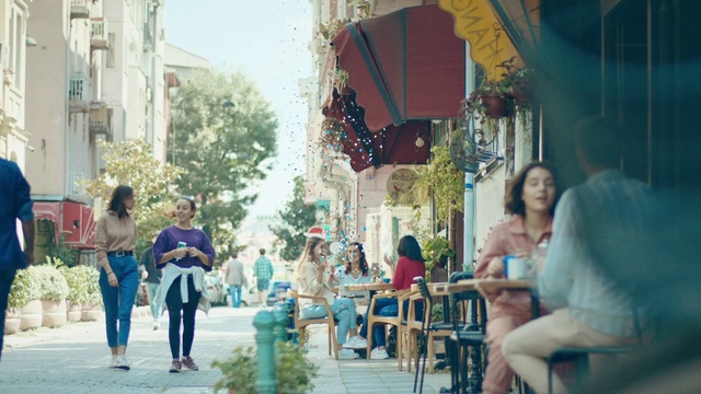 Video Reference: Plant, Green, Flowerpot, Sky, Leisure, Tree, Public space, Travel, Chair, Summer