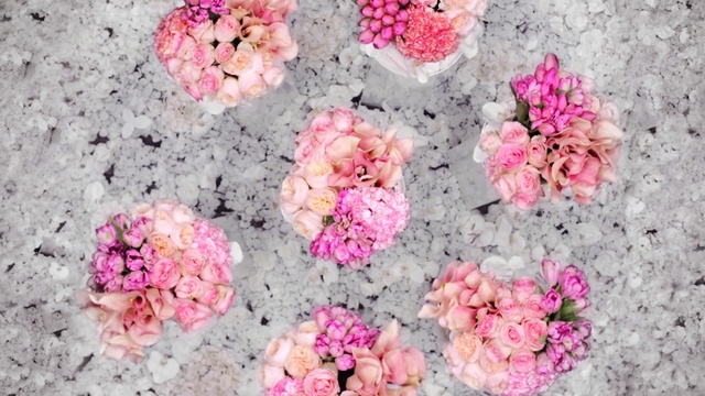 Video Reference: flower, pink, petal, flowering plant, cut flowers, flower arranging, flower bouquet, floristry, peony, spring, Person