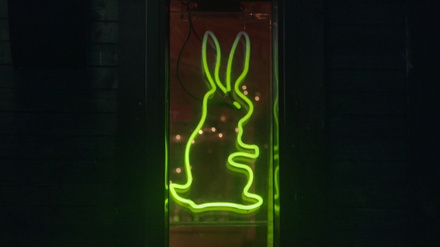 Video Reference: green, neon sign, text, neon, light, darkness, organism, font, computer wallpaper, graphics