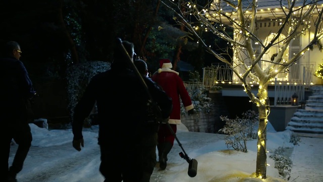 Video Reference: Snow, Winter, Freezing, Snapshot, Tree, Darkness, Night, Fun, Branch, Midnight