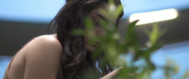 Video Reference: hair, green, girl, beauty, black hair, long hair, smile, brown hair, sunlight, fun