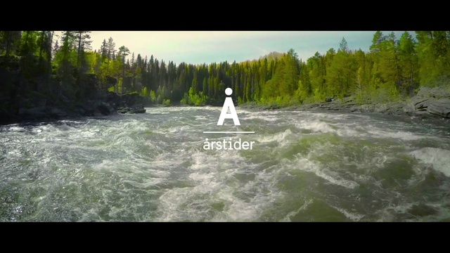 Video Reference: Body of water, River, Nature, Water resources, Rapid, Water, Natural landscape, Watercourse, Stream, Forest