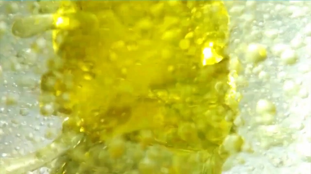 Video Reference: Yellow, Fashion accessory, Plant, Macro photography