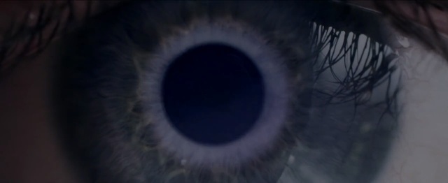 Video Reference: Eye, Iris, Blue, Organ, Eyelash, Close-up, Sky, Human body, Circle, Photography