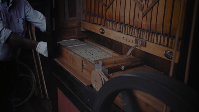 Video Reference: Wood