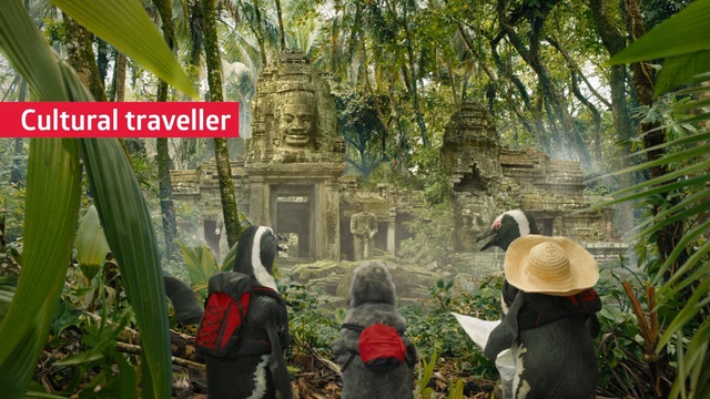 Video Reference: Vegetation, Natural environment, Jungle, Nature reserve, Rainforest, Botany, Forest, Adaptation, Terrestrial plant, Plant, Person