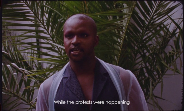 Video Reference: Adaptation, Forehead, Human, Tree, Plant, Palm tree, Smile, Arecales, Photo caption