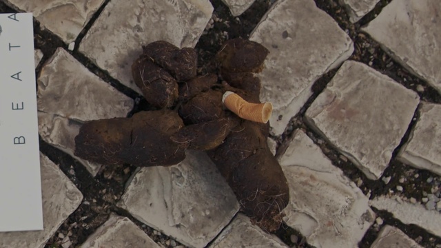 Video Reference: Road surface, Wood, Asphalt, Building material, Brick, Flooring, Brickwork, Flagstone, Concrete, Bedrock