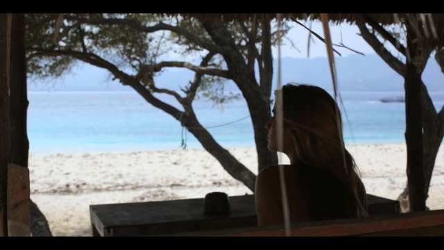 Video Reference: Tree, Beach, Sky, Vacation, Woody plant, Sea, Photography, Branch, Ocean, Plant, Person