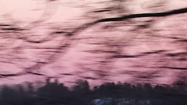 Video Reference: Sky, Cloud, Tree, Atmosphere, Geological phenomenon, Branch, Plant, Photography, Landscape, Black-and-white