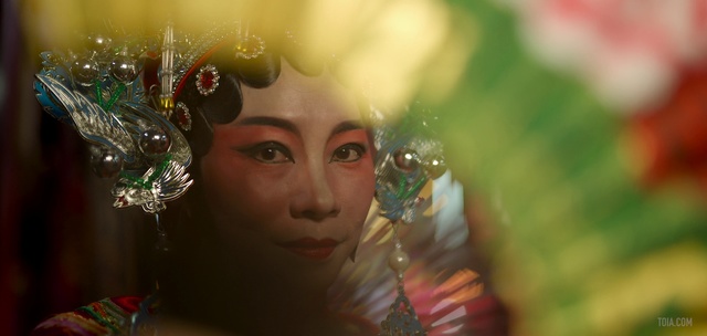 Video Reference: Close-up, Eye, Tree, Photography, Plant, Smile, Black hair