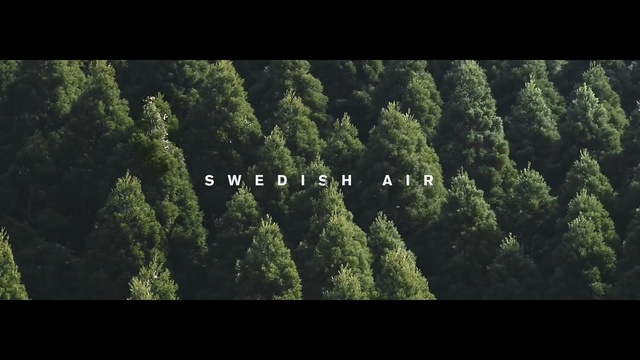 Video Reference: green, vegetation, tree, ecosystem, forest, sky, biome, atmosphere, jungle, rainforest