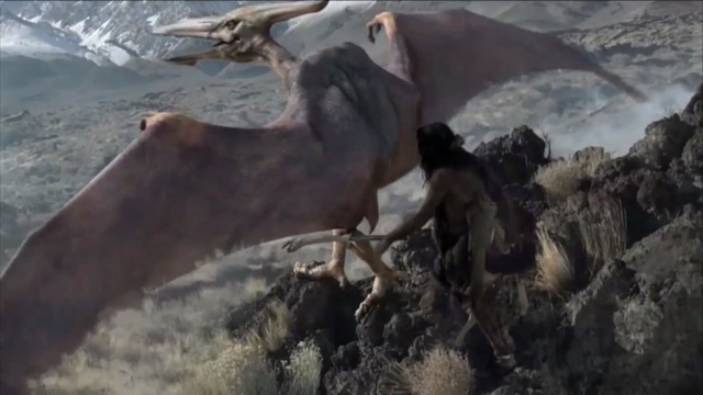 Video Reference: geological phenomenon, wildlife, marine mammal, seals, mountain