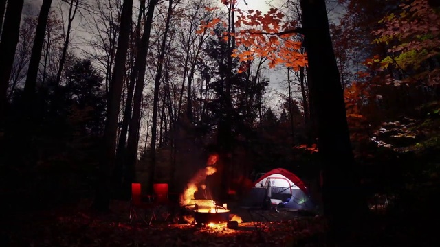 Video Reference: Woodland, Nature, Natural environment, Campfire, Tree, Forest, Red, Heat, Fire, Light