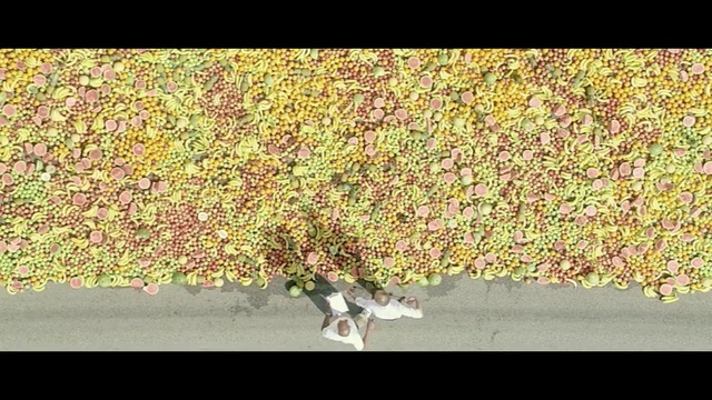 Video Reference: Green, Tree, Leaf, Shrub, Plant, Grass, Woody plant, Flower, Groundcover, Perennial plant